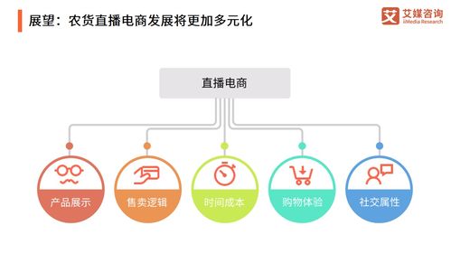 艾媒咨询 2021年中国农产品电商发展报告